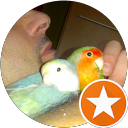 Foto de perfil de David Ramos Albea